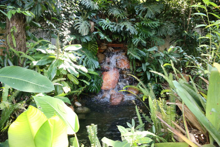 cascata Encontro da Amazonia Curitiba